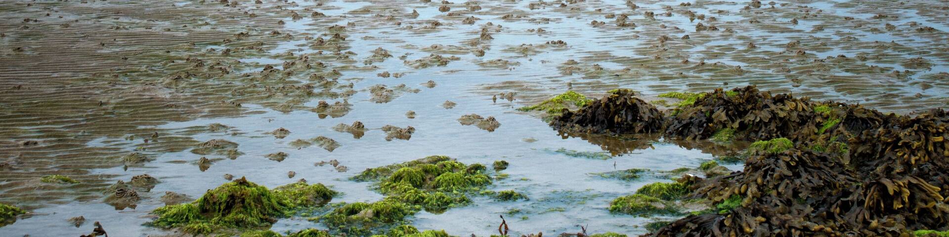 This is a photo of listed building number