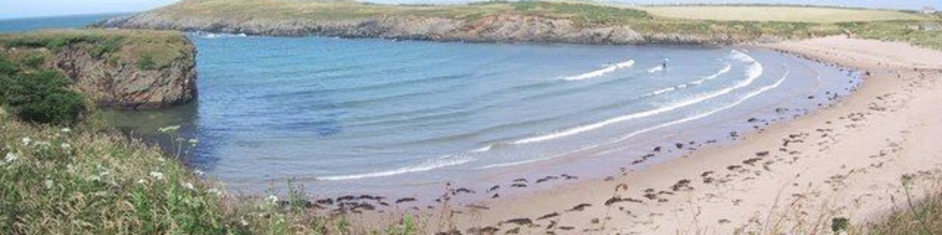 A coastal beach with gentle waves, a sandy shore, and grassy dunes.