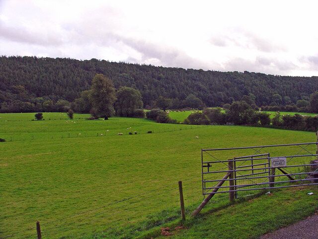 Teifi floodplain: Stradmore, Llandygwydd