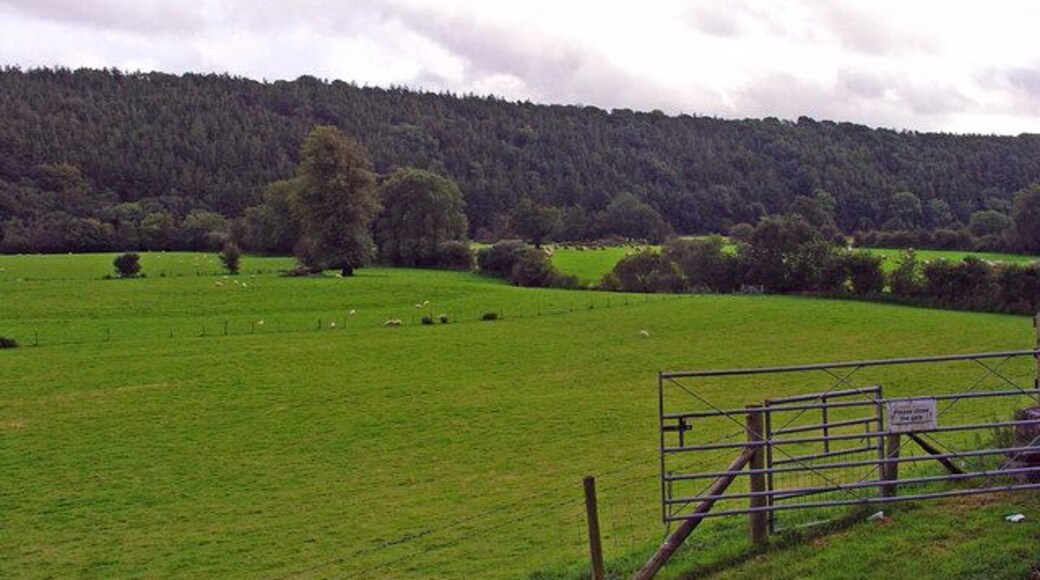 Teifi floodplain: Stradmore, Llandygwydd