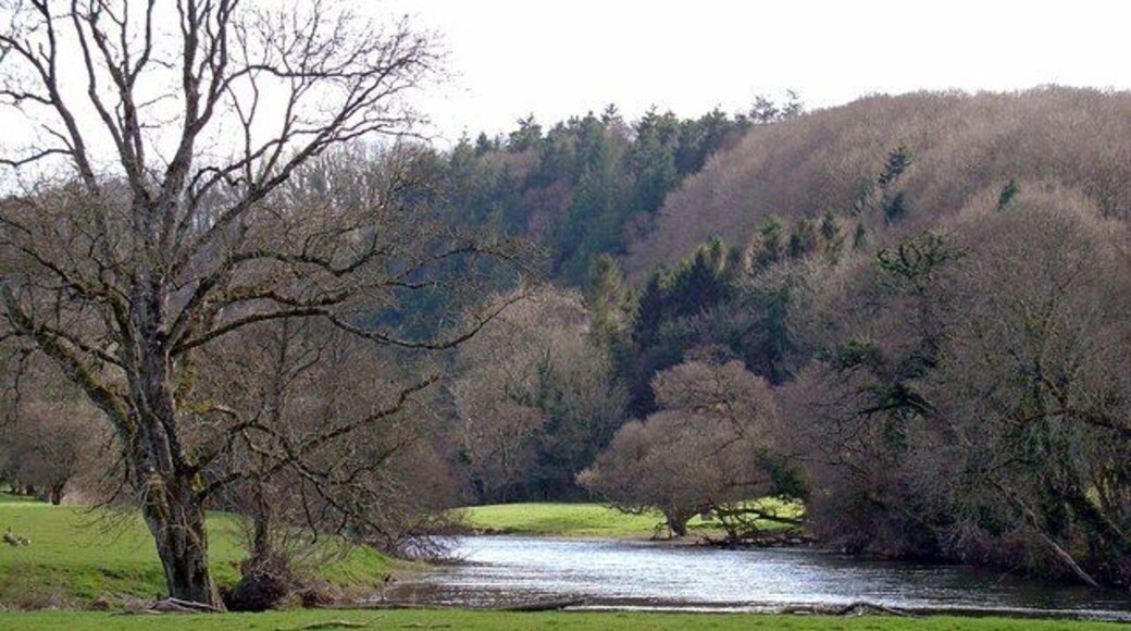 Meander of the Teifi near Alltybwla, Llandygwydd