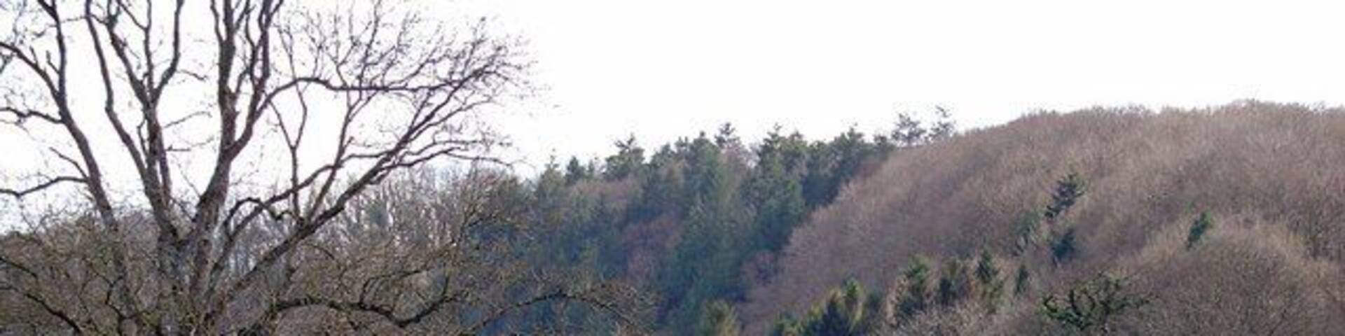 Meander of the Teifi near Alltybwla, Llandygwydd