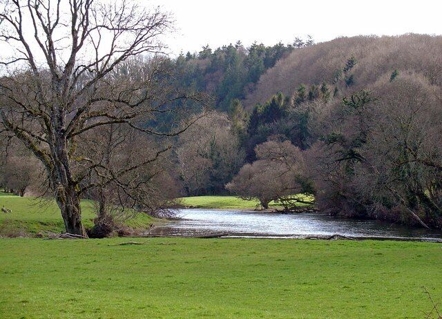 A river flowing through a valley with trees and hills in the background.