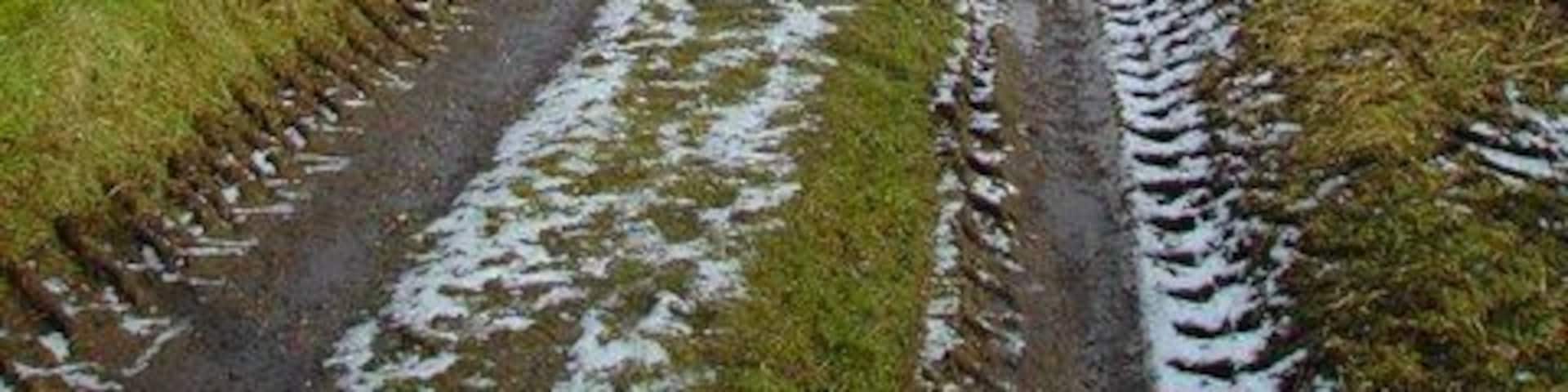 Track to A913 Looking North East from Ayton