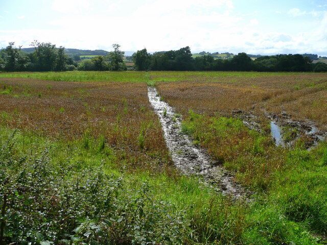 Footpath south-west. Comes to the next road at 928154.