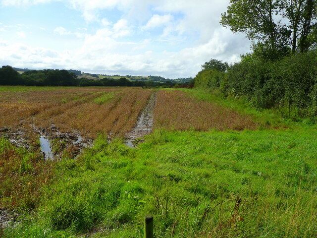 A rural landscape with a plowed field, a muddy path, and a line of trees in the distance.