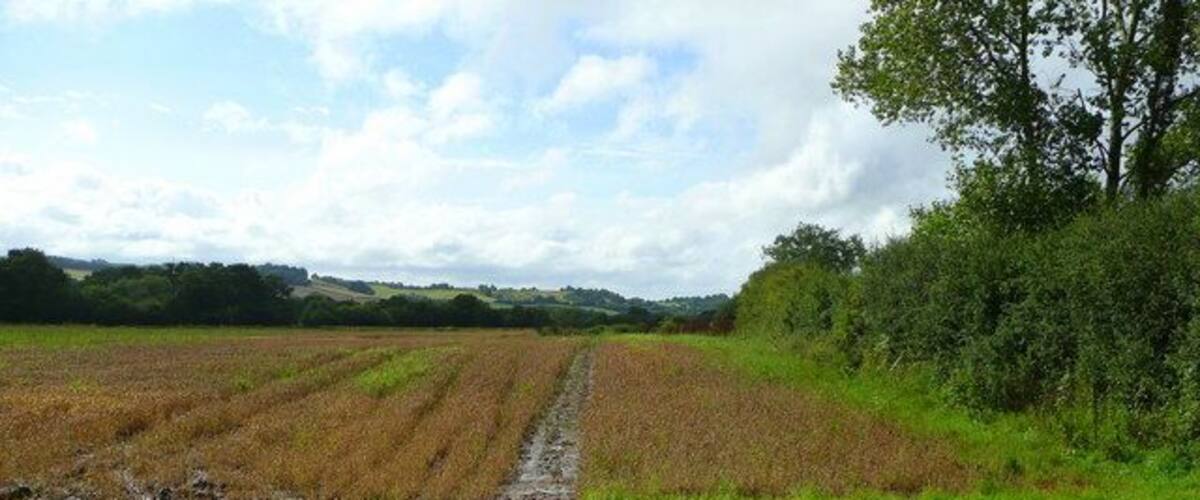 A rural landscape with a plowed field, a muddy path, and a line of trees in the distance.