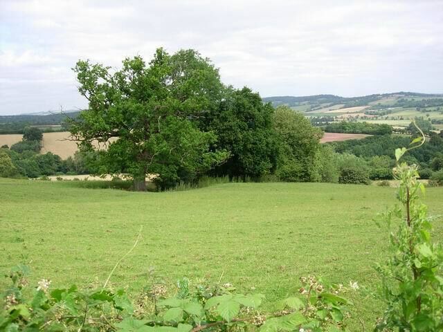 Top of Cwm Pitch. Mixed farming in the area - grazing mostly on the steep sides and arable/silage on the flat top and in the valley.