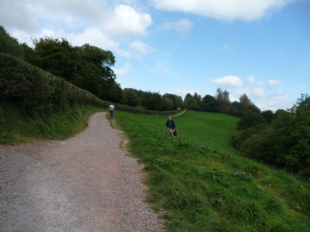 Exmoor : Tarr Steps Path & Hillside
