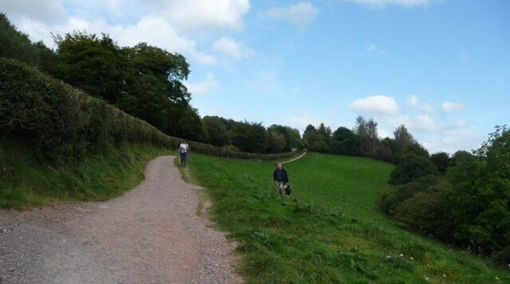 Exmoor : Tarr Steps Path & Hillside