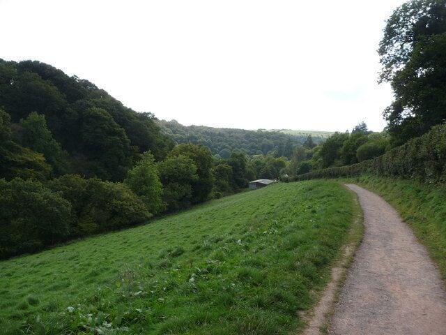 Exmoor : Tarr Steps Path & Hillside