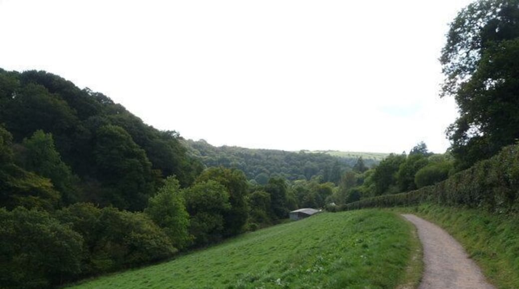 Exmoor : Tarr Steps Path & Hillside