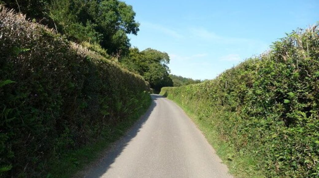 Exmoor : Country Road