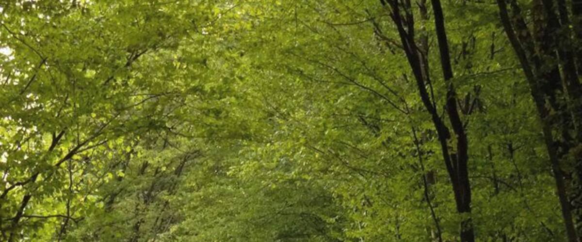 Did you think that this is photoshop? No, this place does exist. #Green