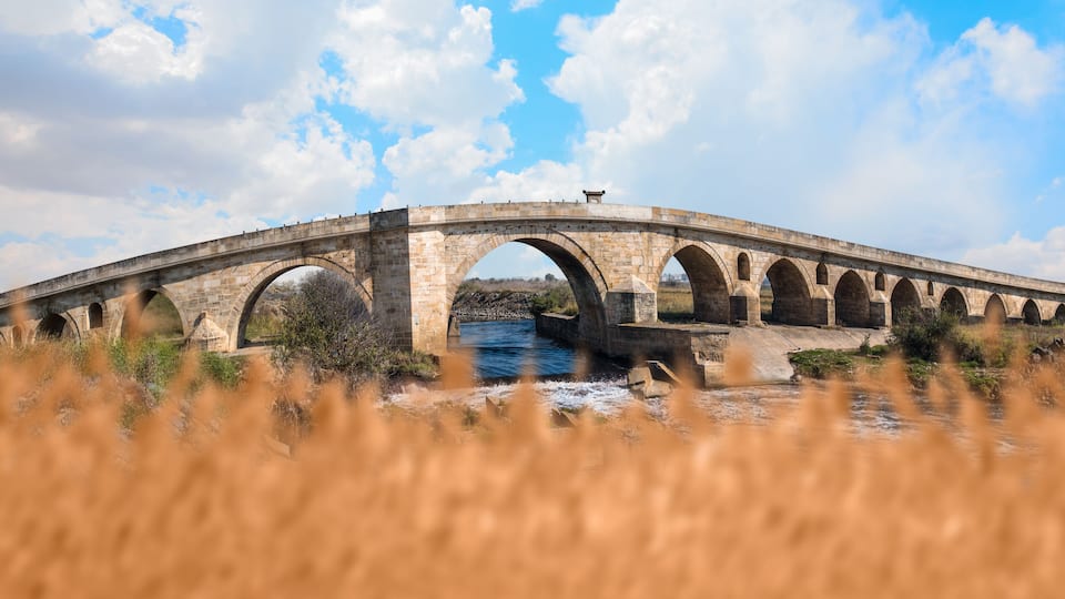 A stone bridge with multiple arches over a river, surrounded by tall grass.