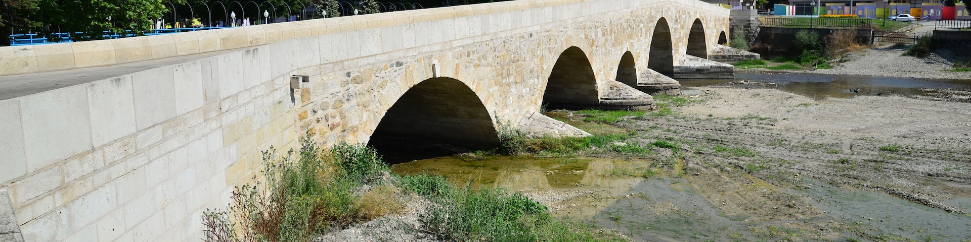 A stone bridge with multiple arches over a river, surrounded by greenery and buildings in the background.