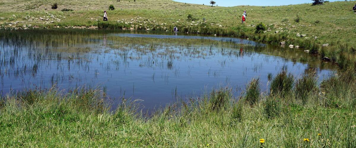 A pond surrounded by grassy hills and sparse trees.