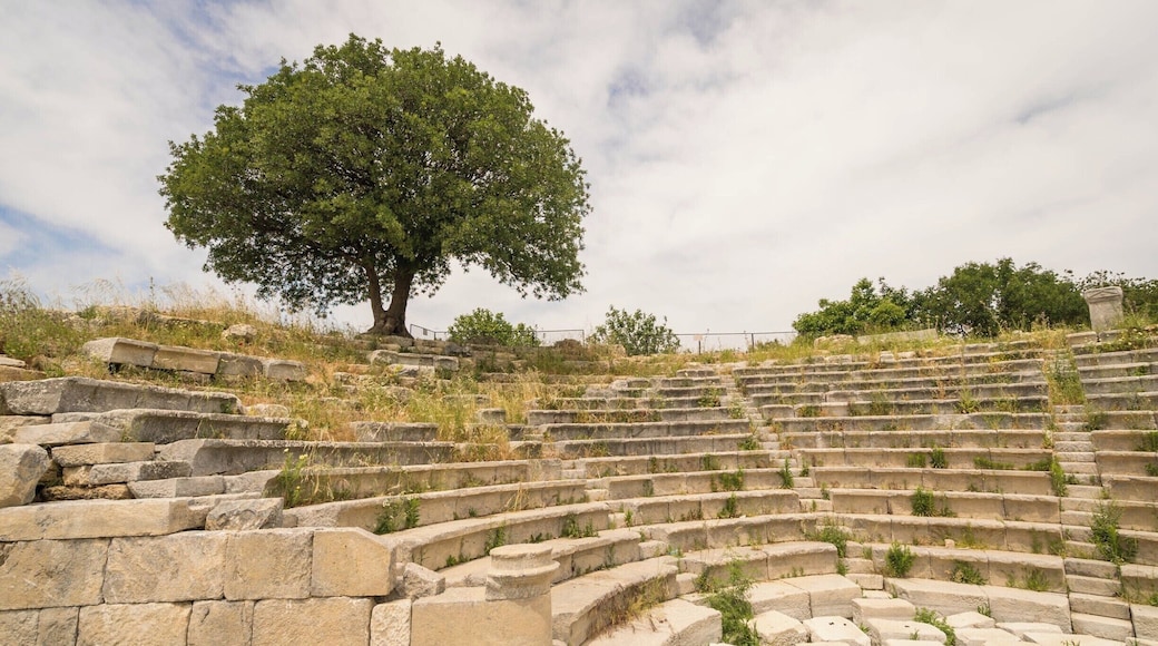 We walked about a 7 mile loop from the Teos Marina past a number ancient ruins, most built around 1000 BC. Only once did we see other people.