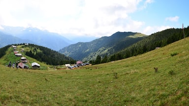 Pokut Plateau, located in Rize, Turkey, is one of the most touristic plateaus of the Black Sea region.