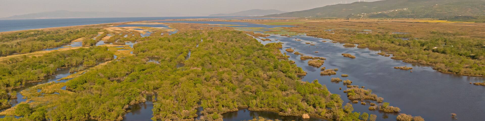Drone image of Karacabey floodplain forest
