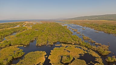 Drone image of Karacabey floodplain forest