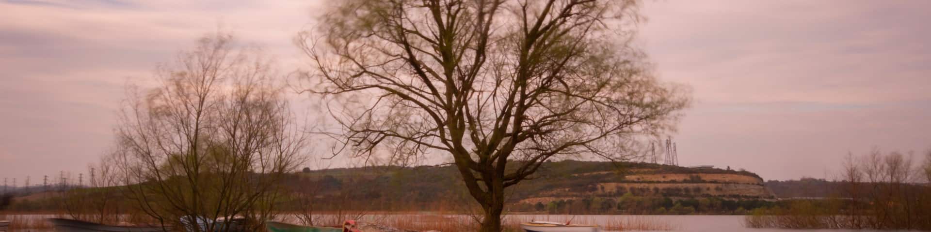 A calm lake with a single boat tied up near the shore, surrounded by leafless trees and a distant hill.