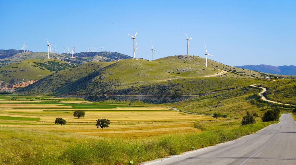 Wind energy tribunes that produces electricity with natural resources