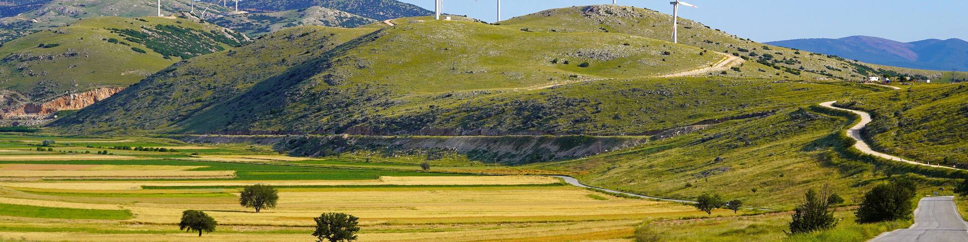 Wind energy tribunes that produces electricity with natural resources