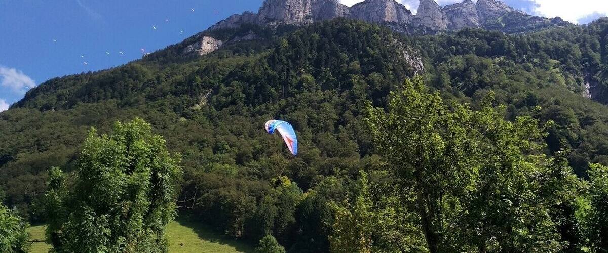 A mountainous landscape with a paraglider flying over a forested area.