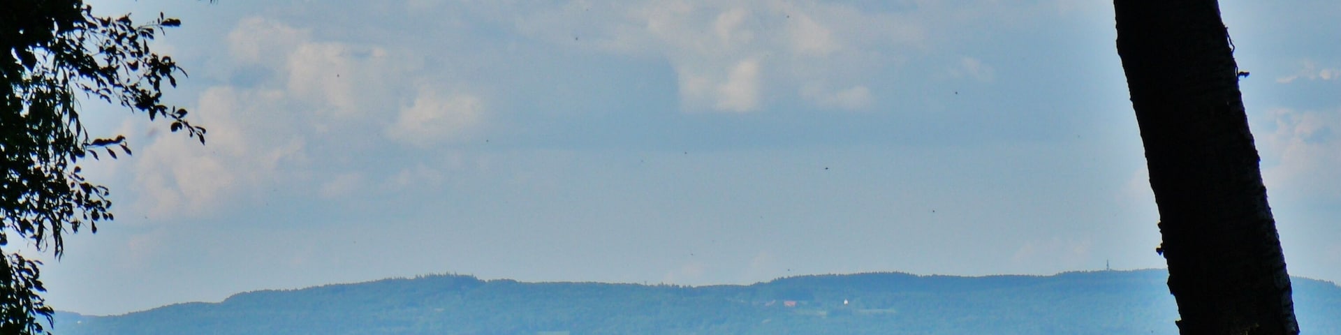 Blick über den Bodensee nach Immenstaad (NICHT Friedrichshafen)