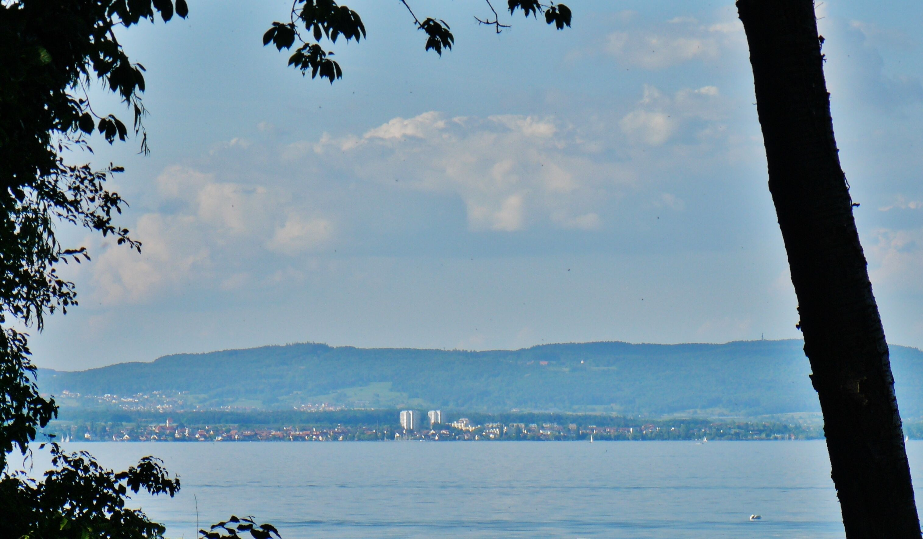 A coastal cityscape with a body of water in the foreground, a distant mountain range, and a tree trunk in the foreground.