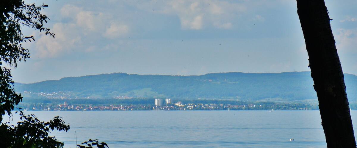 A coastal cityscape with a body of water in the foreground, a distant mountain range, and a tree trunk in the foreground.