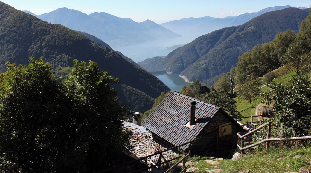 Von der Alp Odro geht der Blick ins herrliche Tessin bis zum Lago Maggiore. Odro ist eine Alp und Rustici-Siedlung (1240 m.ü.M.) oberhalb von Vogorno im Tessiner Valle Verzasca. In Odro werden noch schwarze Verzascaziegen im Sommer gehalten aus deren Milch köstlicher Ziegenkäse hergestellt wird.