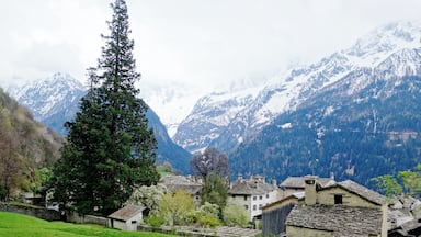 View of Soglio GR (Switzerland) with a sequoia tree about 45 metres high (and a smaller one behind)