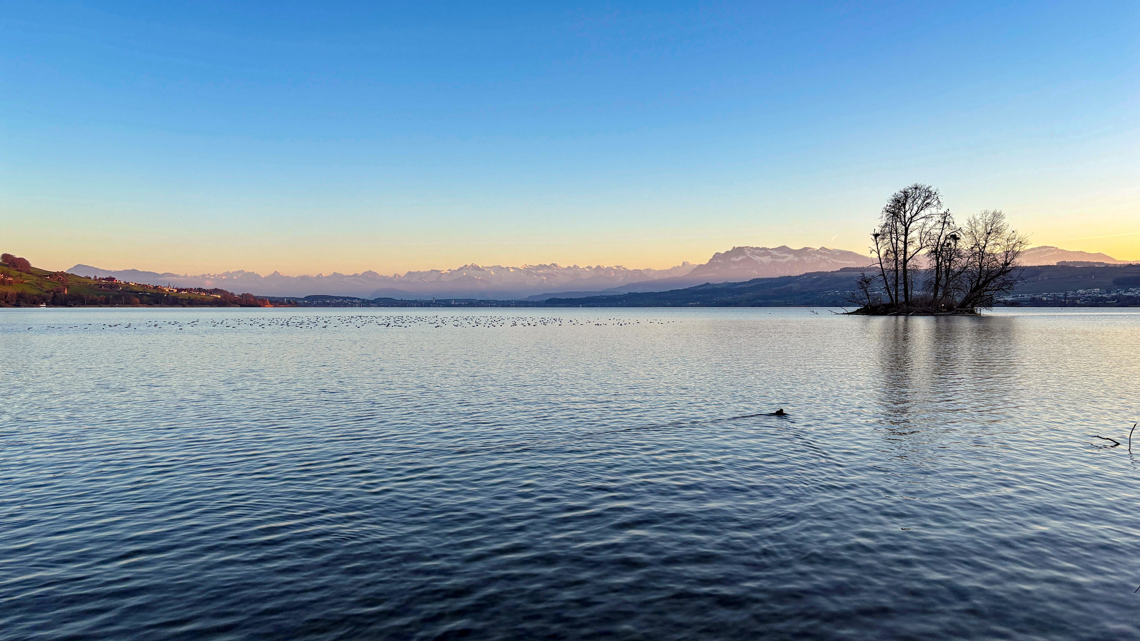 Un lago sereno con una pequeña isla, montañas al fondo y un cielo despejado.