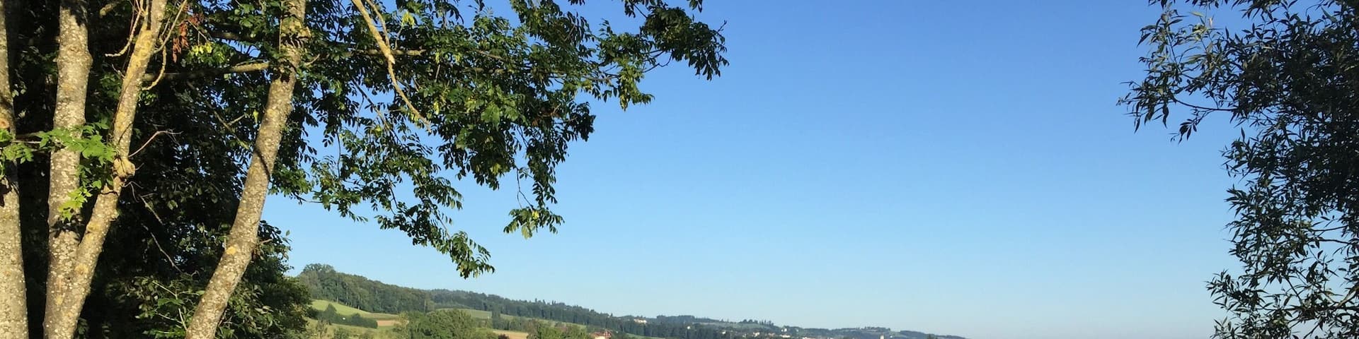 Early morning on lake Sempach