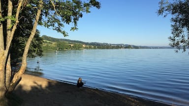 Early morning on lake Sempach
