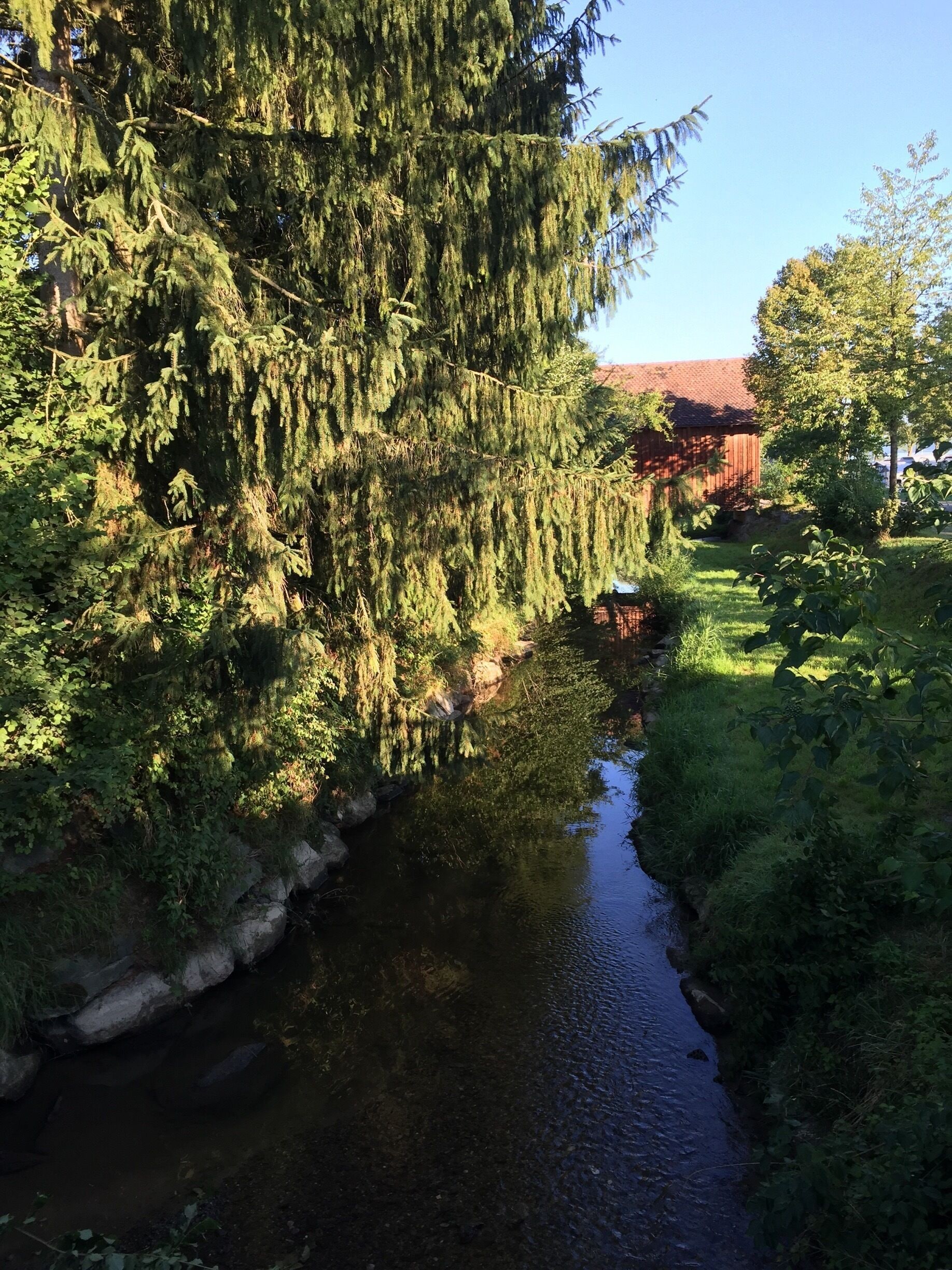 An early morning walk 