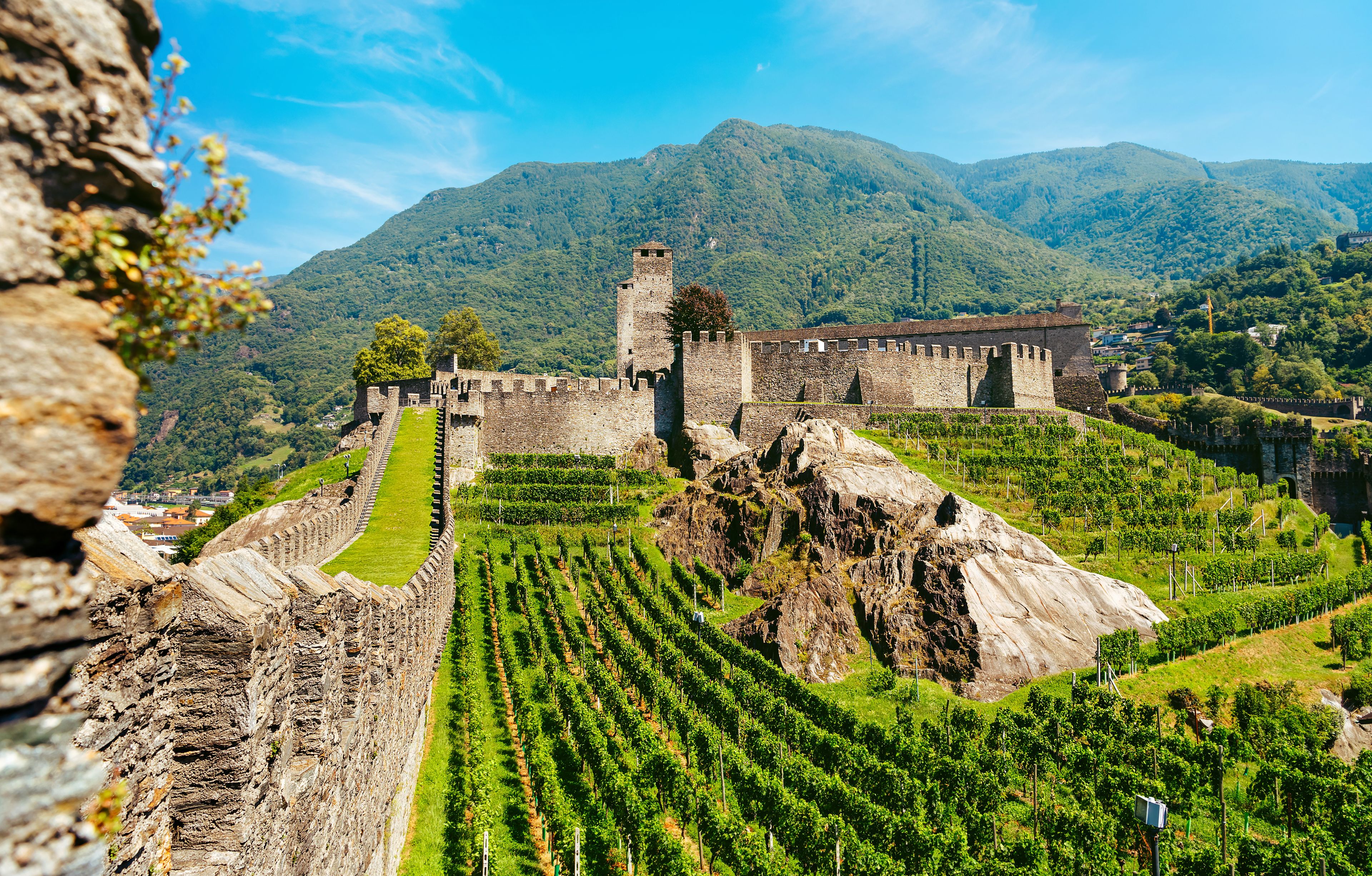 A historic castle surrounded by lush vineyards and mountains.