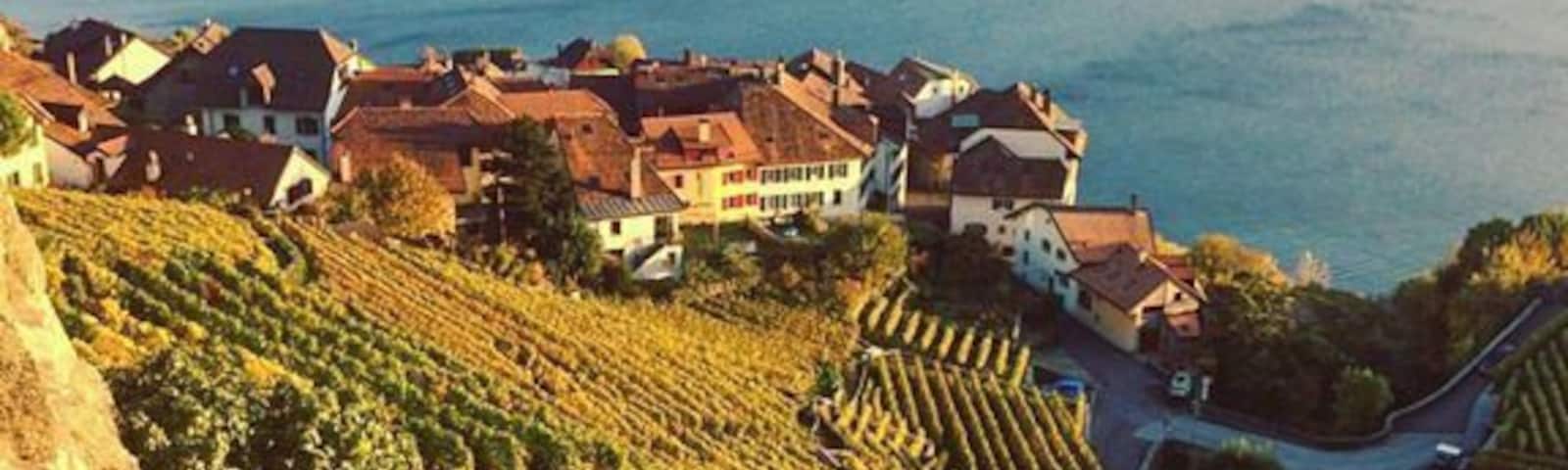 Unesco World Heritage site. The Lavaux Vineyard Terraces, stretching for about 30 km along the south-facing northern shores of Lake Geneva. Particularly breathtaking in the Fall. #lifeatexpedia #alps #switzerland
🇨🇭#winery