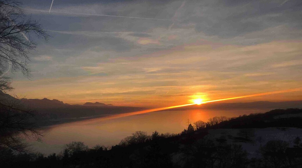 Winter sunsets are the best