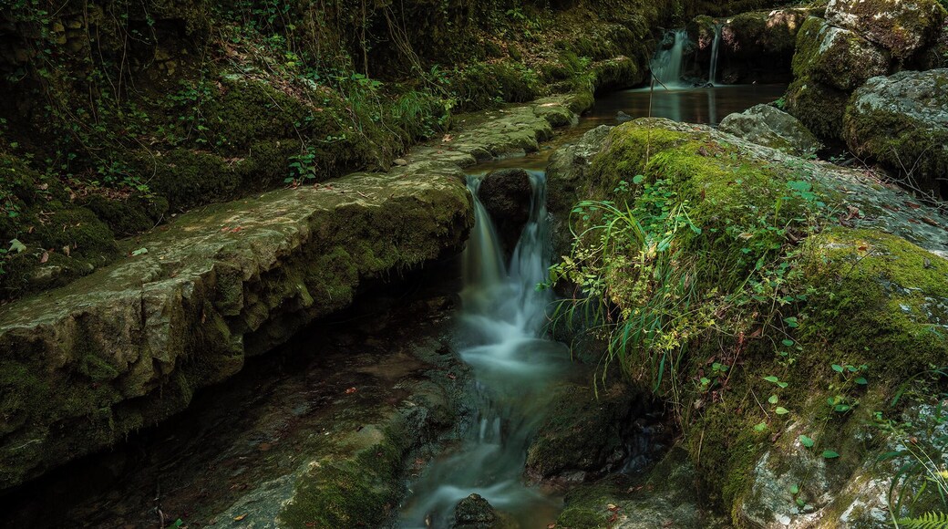 We took a bus from Solothurn to Rüttenen, Dorf, from where we started the walk toward the gorge. After passing by the hermitage and continuing on the path, we had the stream always on our left hand side, beautiful and idyllic, also photogenic of all seasons.