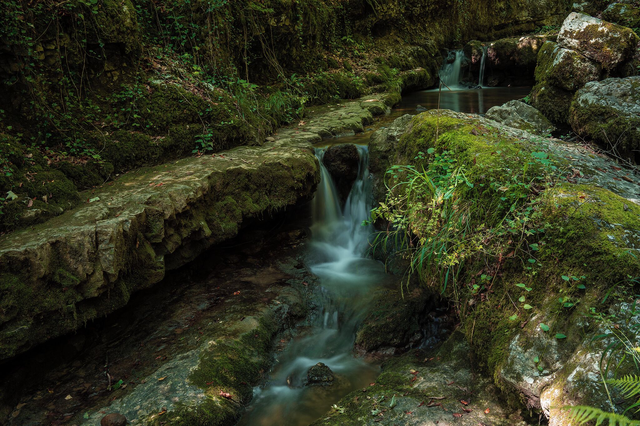 A serene forest stream with moss-covered rocks and a small waterfall.