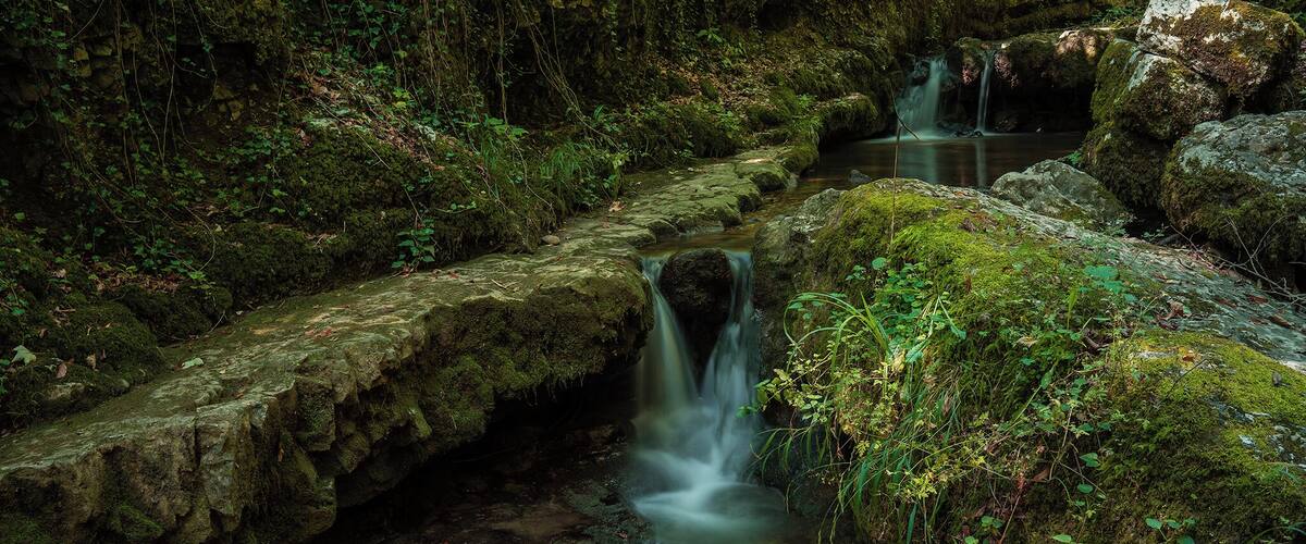 A serene forest stream with moss-covered rocks and a small waterfall.