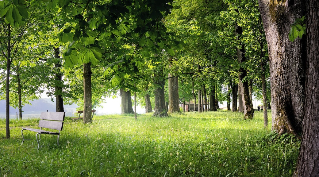 Having a stroll in early spring in the garden nearby Riggisberg castle is a joyful experience!