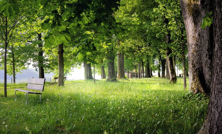 Having a stroll in early spring in the garden nearby Riggisberg castle is a joyful experience!