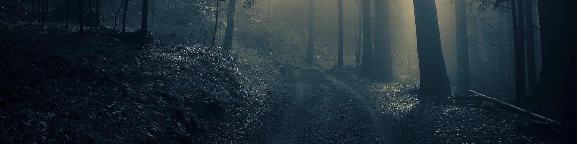 Fog lingering about in the forest, the sudden appearance of the light streaming through the leaves created some sort of mysterious and spooky atmosphere that made us quicken our steps to the open field, not for the faint-hearted ah!
