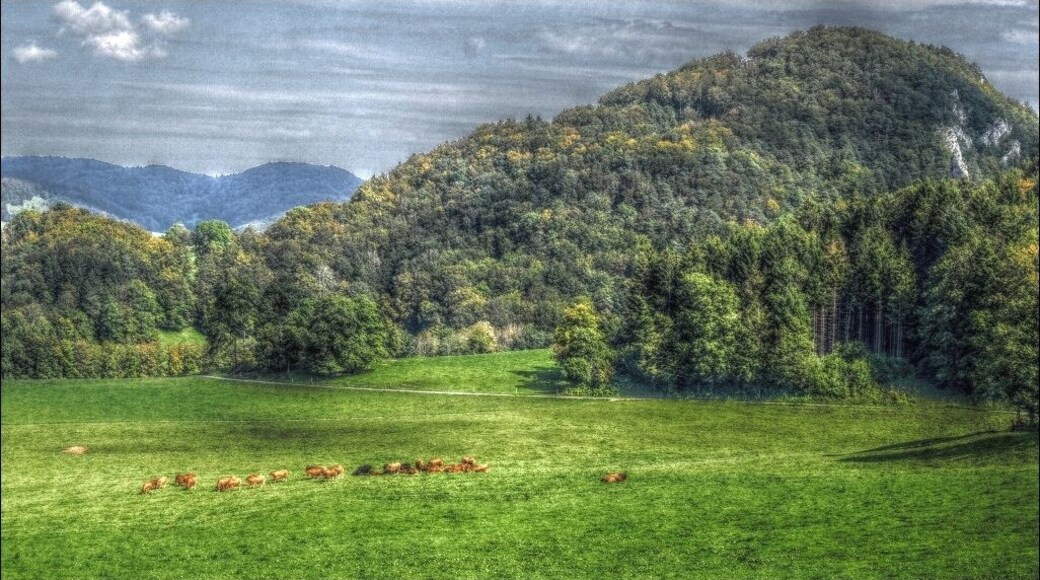 Unterhalb der Löwenburg.