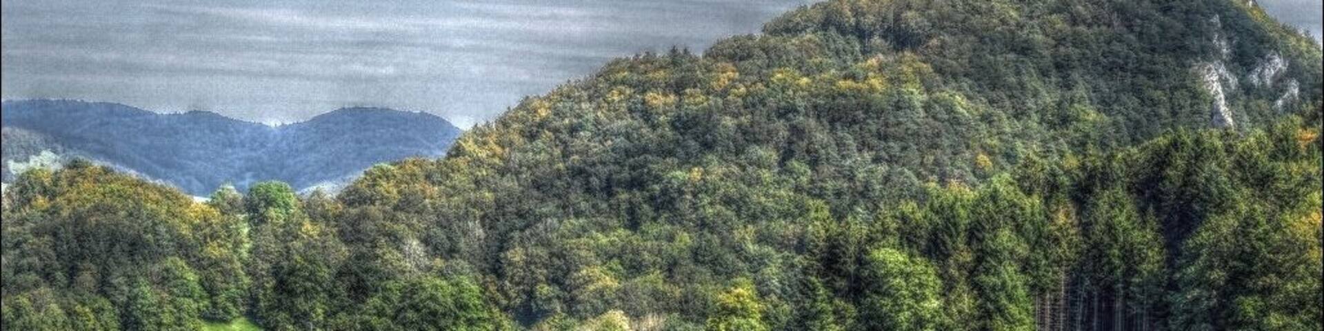 Unterhalb der Löwenburg.