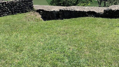 A stone wall, grassy field, tree, and distant mountains.